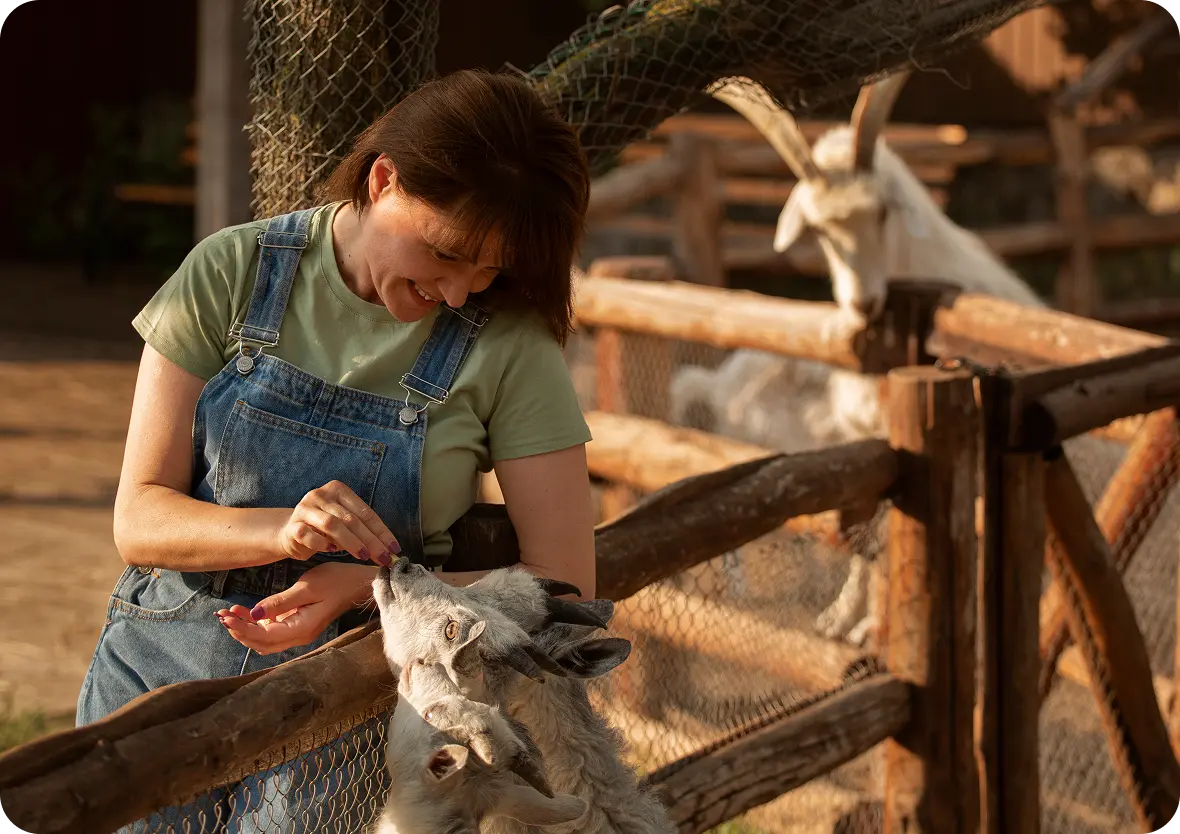 Livestock Tracking